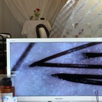 髪のストレスは身体のストレス