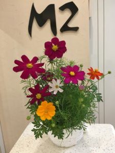 10月サロン定休日